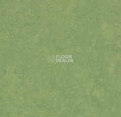 Линолеум Forbo Marmoleum Decibel on Order 326035 leaf фото 1 | FLOORDEALER